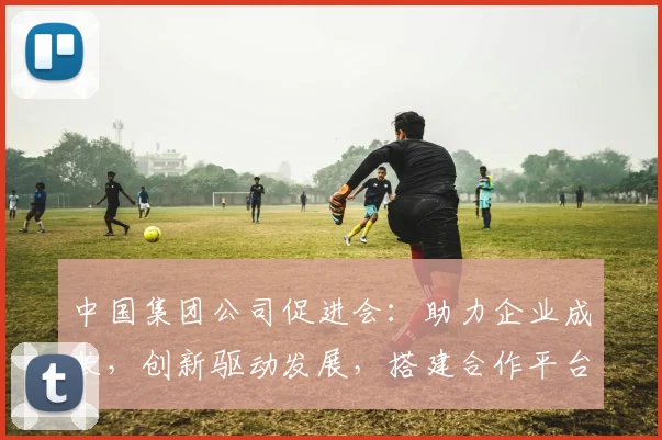 中国集团公司促进会：助力企业成长，创新驱动发展，搭建合作平台，共谋未来机遇